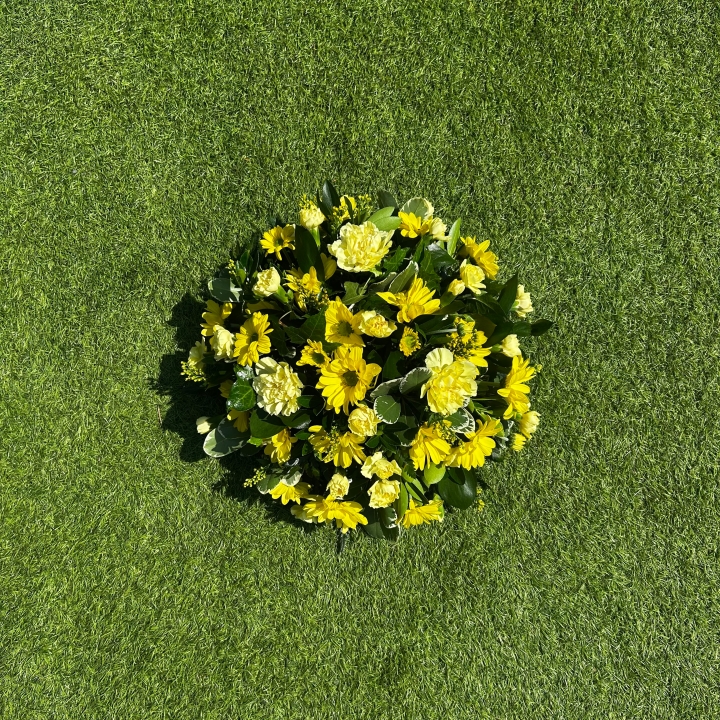 Yellow Posy