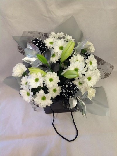 Modern Winter Aqua Pack