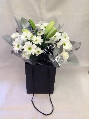 Modern Winter Aqua Pack