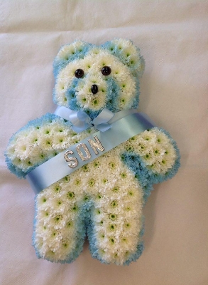 Blue and White Teddy