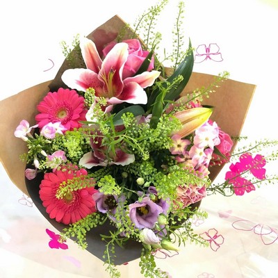 Admire – buy online or call 01353 721336