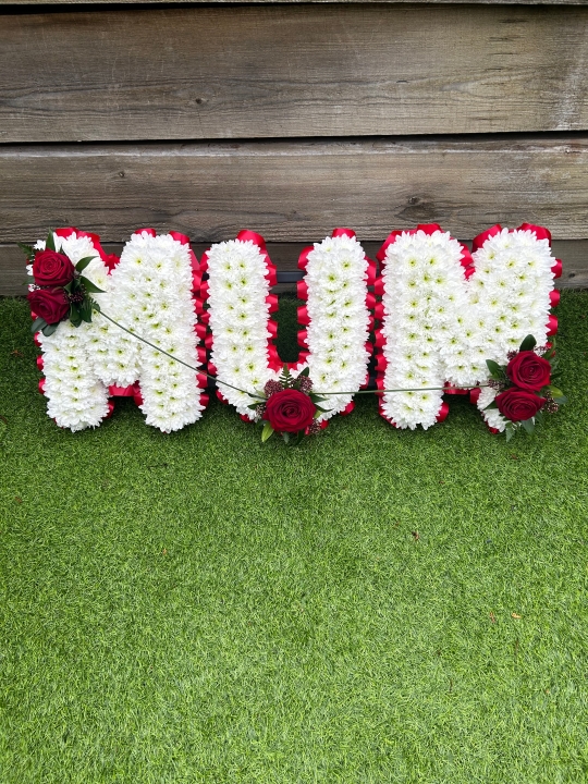 Massed Red Mum