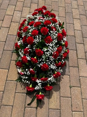 Carnation and Gypsophila Spray