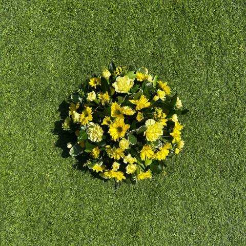 Yellow Posy