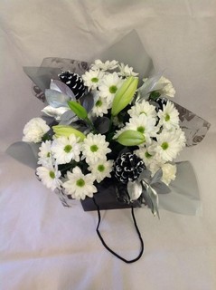 Modern Winter Aqua Pack