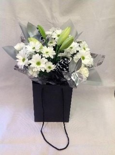 Modern Winter Aqua Pack