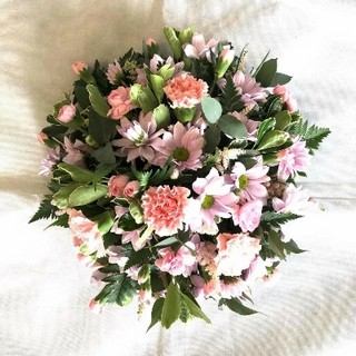 Little Pink Posy