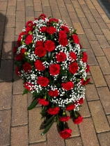 Carnation and Gypsophila Spray