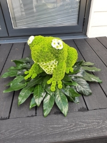 Frog Funeral Tribute